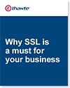 Download Why SSL is a Must for Your Business